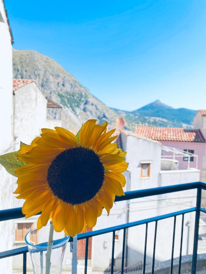 A Punta Terra Isnello Bed & Breakfast Bagian luar foto